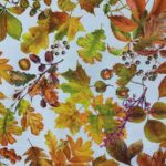 Anti-Nódoas Estampado Nozes e Folhas de Outono