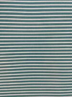 Plastificado Risca Azul Turquês