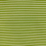 Plastificado Risca Verde